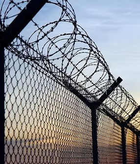 Barbed Wire Fence