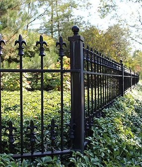 Wrought Iron Fence